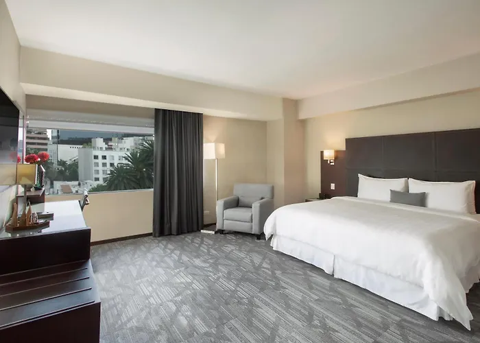Novit Hotel Mexico City