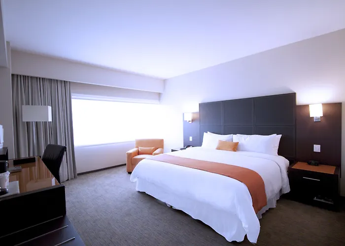 Novit 4* Mexico City