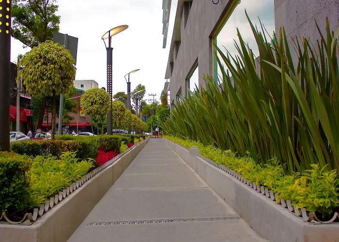 Hotel Novit Mexico City